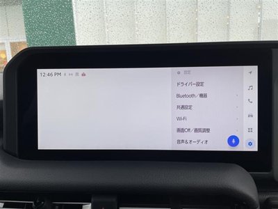 TOYOTA LAND CRUISER 250 - 4