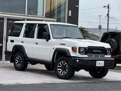 2025 Toyota LAND CRUISER 70 缩略图 12