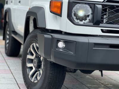 2025 Toyota LAND CRUISER 70 缩略图 19