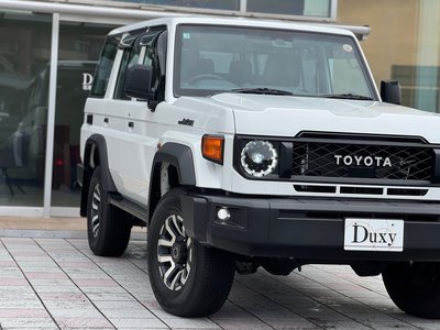 2025 Toyota LAND CRUISER 70 缩略图 16
