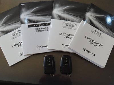 TOYOTA LAND CRUISER PRADO - 5