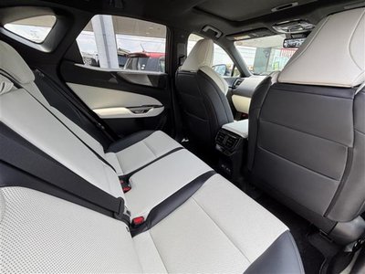 2023 Lexus NX thumbnail 19