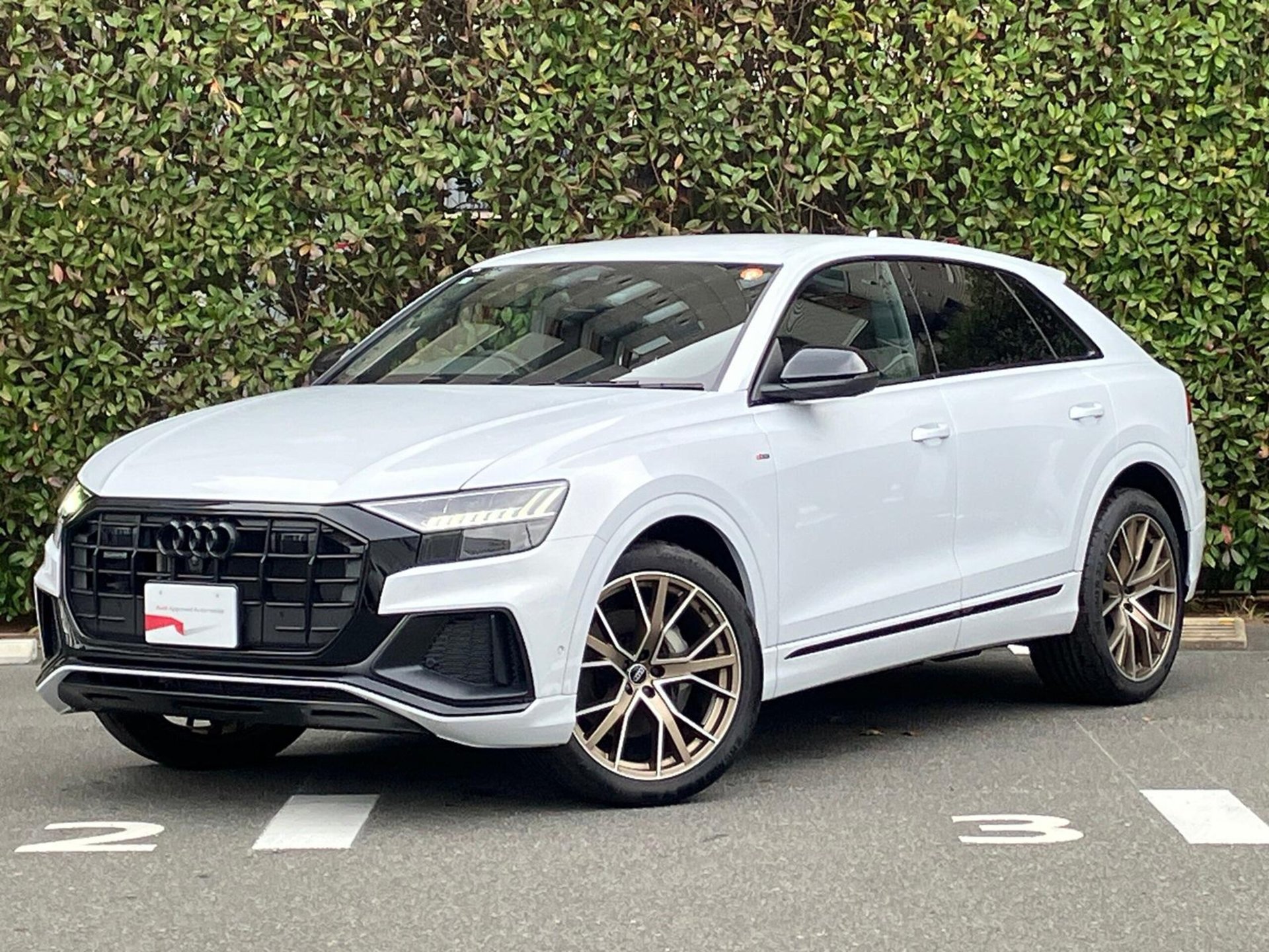 AUDI Q8 - View 1