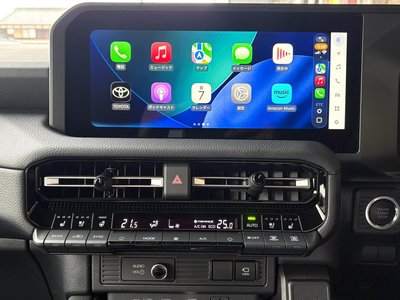 TOYOTA LAND CRUISER 250 - 8