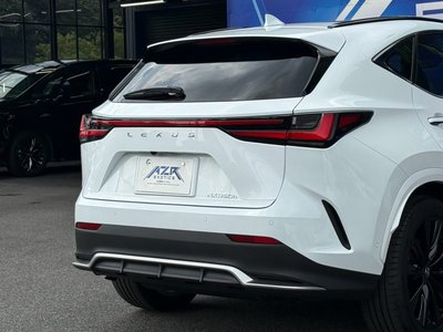 2024 Lexus NX 照片 9