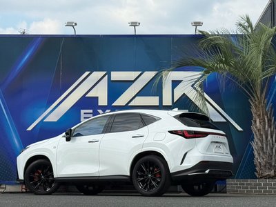 2024 Lexus NX 照片 4