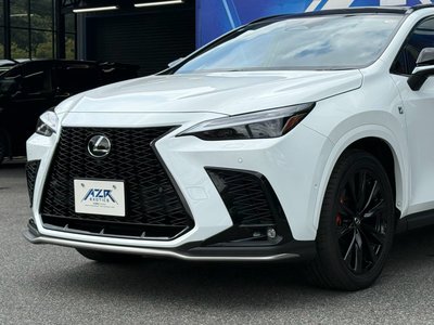 2024 Lexus NX 照片 8