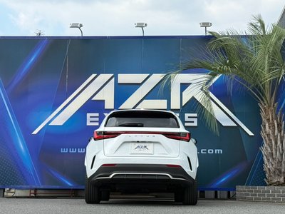 2024 Lexus NX 照片 7