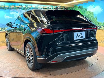 2023 Lexus RX 缩略图 62
