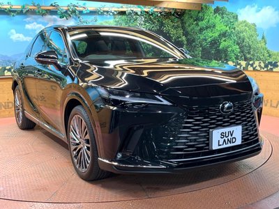 2023 Lexus RX 缩略图 16