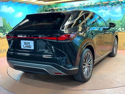 2023 Lexus RX 缩略图 17