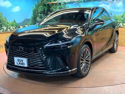 2023 Lexus RX 缩略图 60