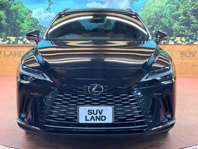 2023 Lexus RX 缩略图 14