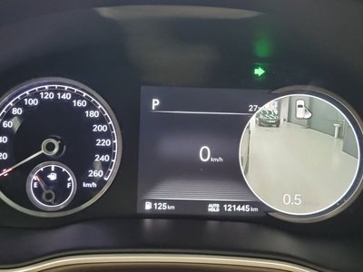 2020 Genesis GV80 缩略图 17