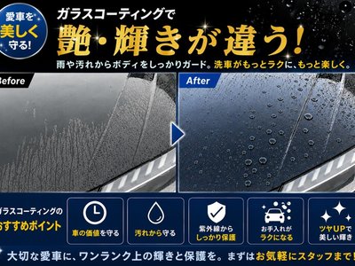 2024 Toyota LAND CRUISER 250 thumbnail 23