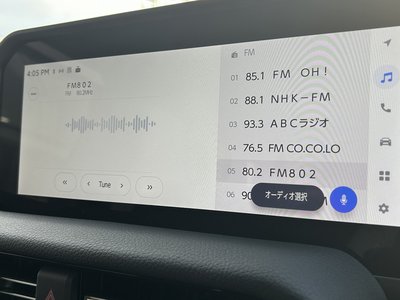 2024 Toyota LAND CRUISER 250 thumbnail 39