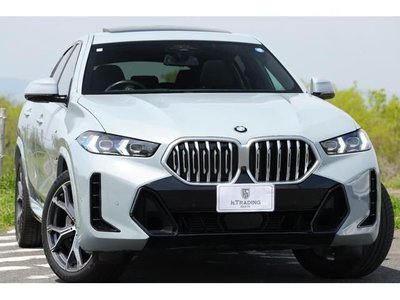 BMW X6 - 1
