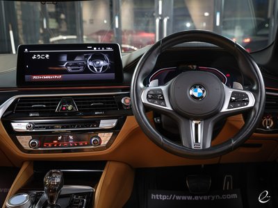2021 BMW 5 SERIES 缩略图 75