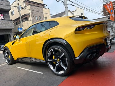 FERRARI PUROSANGUE - 7