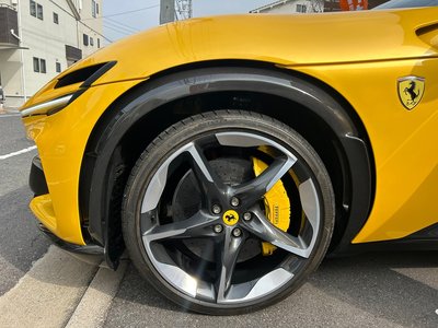 FERRARI PUROSANGUE - 8