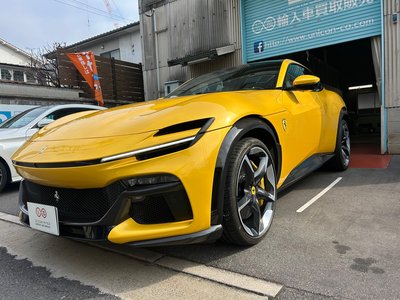 FERRARI PUROSANGUE - 1