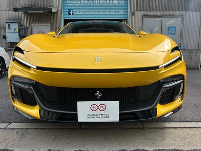 FERRARI PUROSANGUE - 3