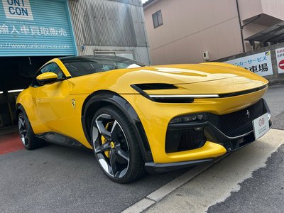 FERRARI PUROSANGUE - 2