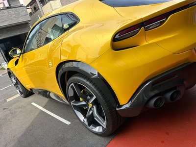 FERRARI PUROSANGUE - 10