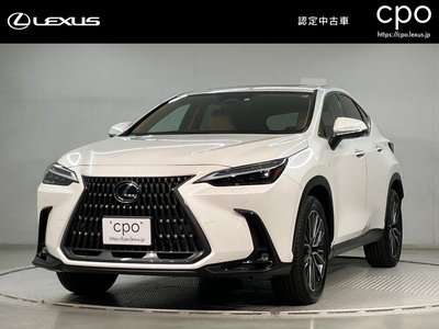 LEXUS NX - 1