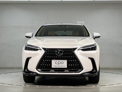 LEXUS NX - 2