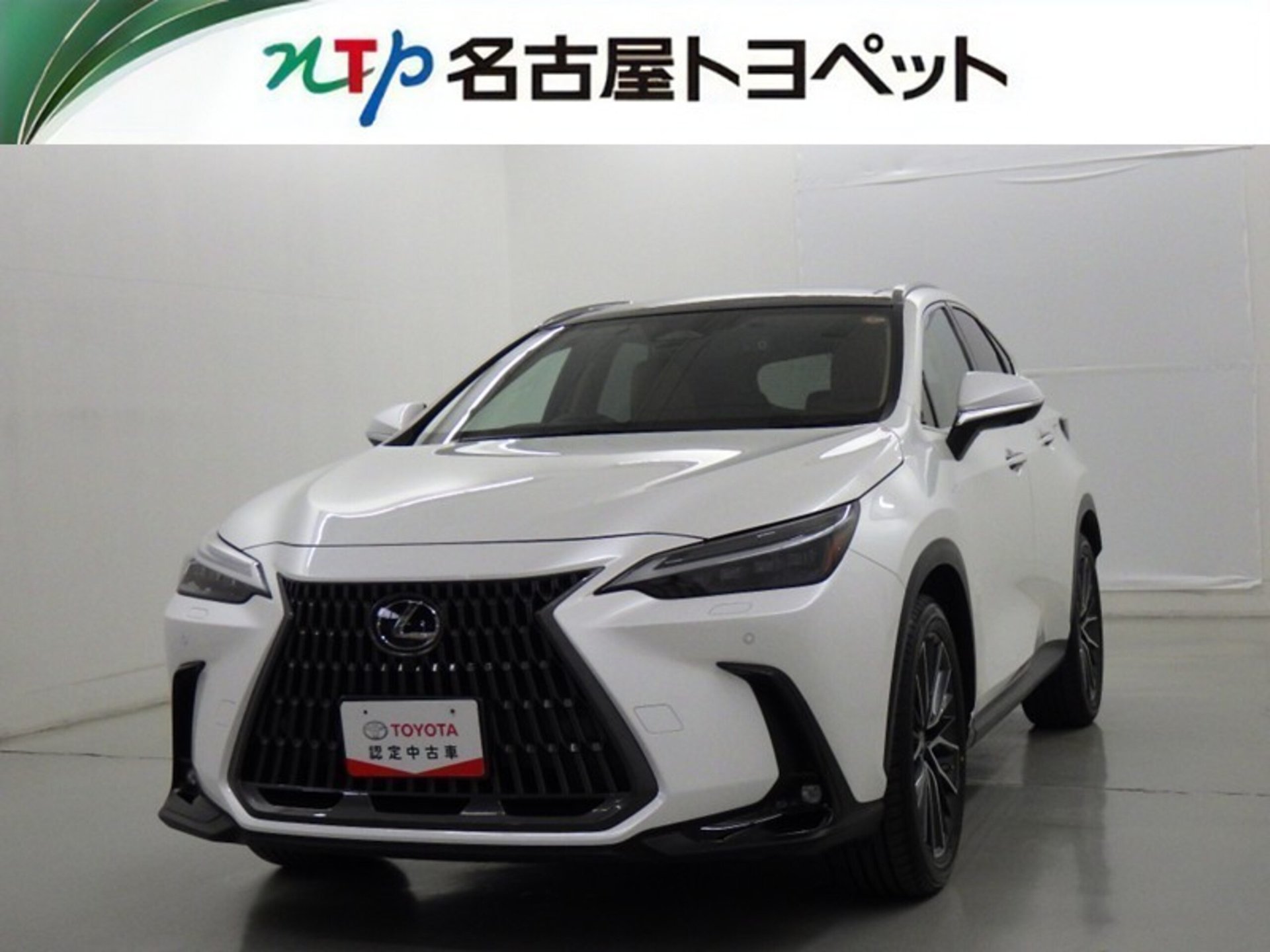 LEXUS NX - View 1