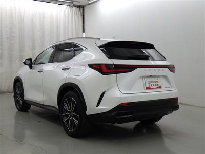 LEXUS NX - 6
