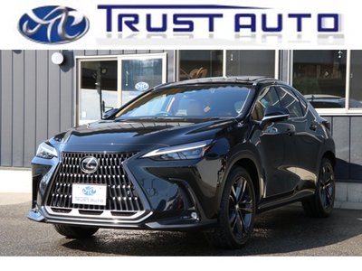 LEXUS NX - 1