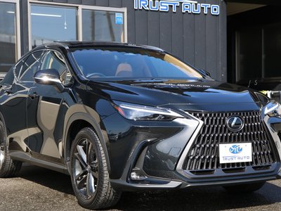 LEXUS NX - 3