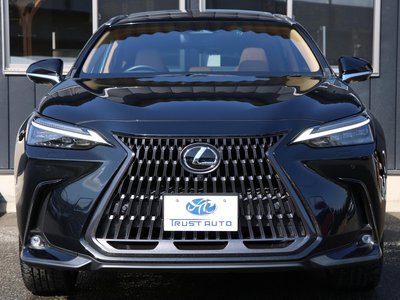 LEXUS NX - 2