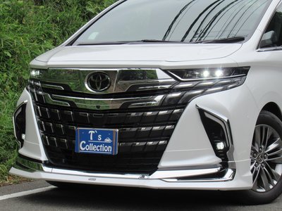 TOYOTA ALPHARD - 3