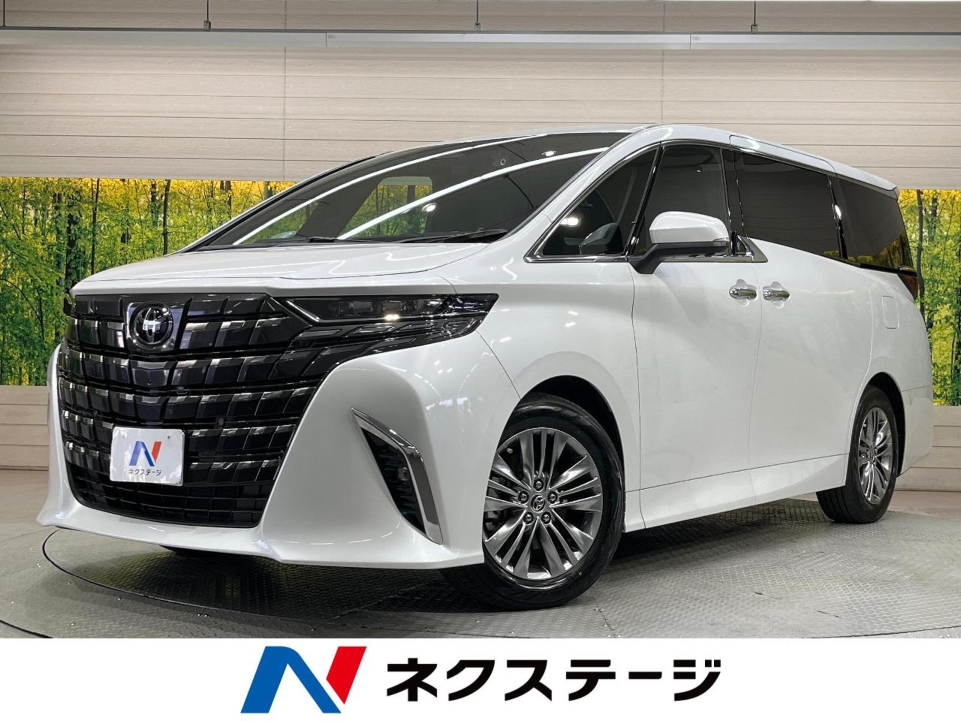 TOYOTA ALPHARD - View 1