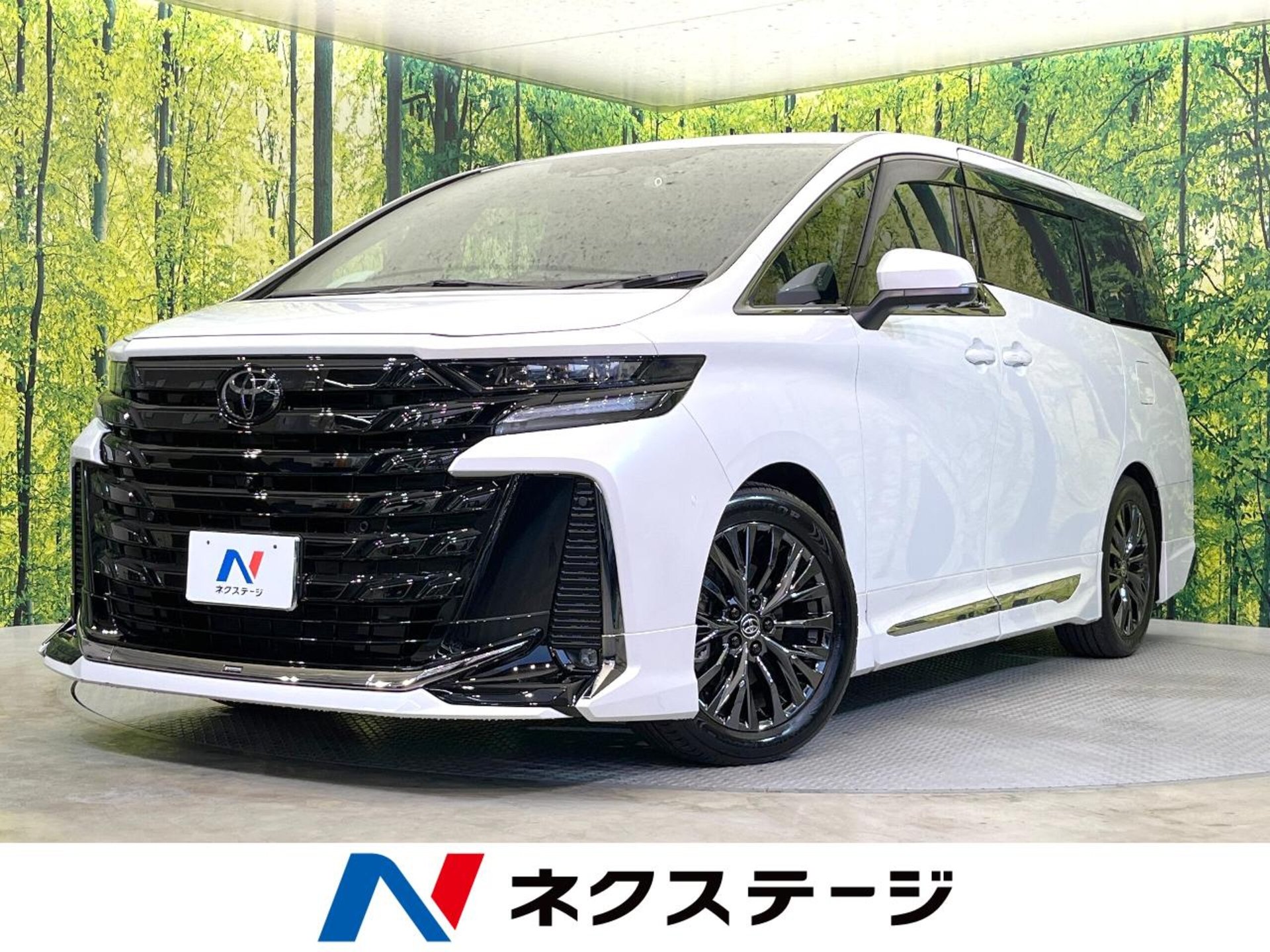 TOYOTA VELLFIRE - View 1