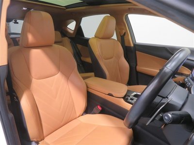 2023 Lexus NX 照片 10