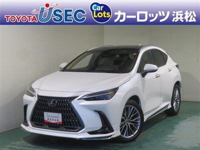 2023 Lexus NX photo 1