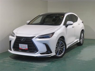 صورة مصغرة 14 لـ 2023 Lexus NX