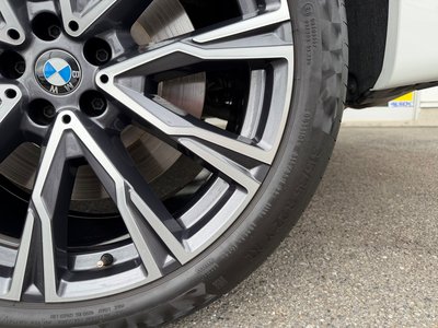 2021 BMW X7 照片 10