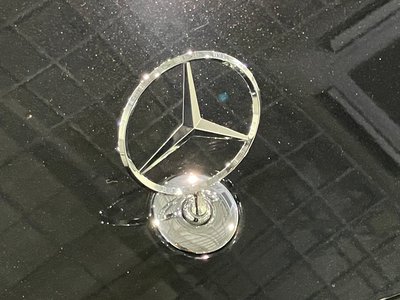 2024 Mercedes-BENZ S-CLASS — миниатюра 44