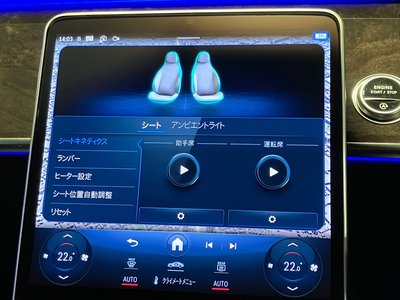 2024 Mercedes-BENZ S-CLASS — миниатюра 16