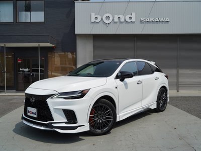 LEXUS RX - 1