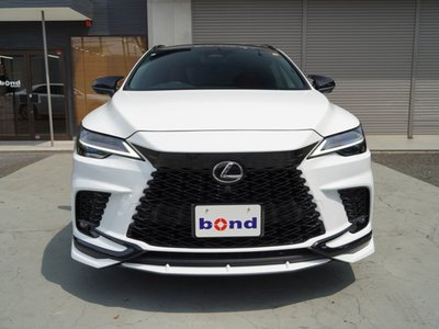 LEXUS RX - 2