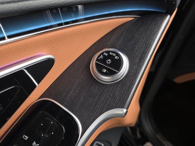 2021 Mercedes-BENZ S-CLASS — миниатюра 28