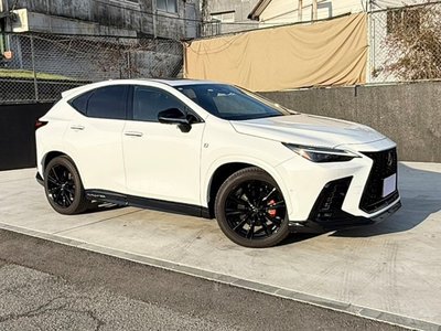 LEXUS NX - 1