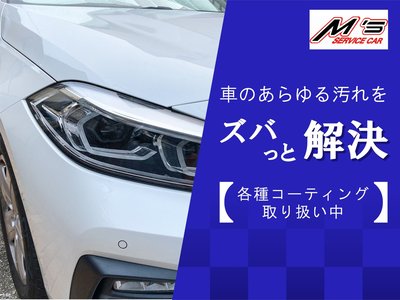 2024 Toyota LAND CRUISER 70 缩略图 59