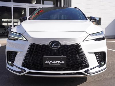 LEXUS RX - 6